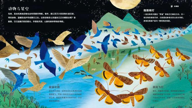 前的今天人类展开羽翼开元棋牌试玩121年(图22)